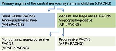 Clinical Perspective on Primary Angiitis of the Central Nervous System in Childhood (cPACNS)